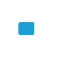 Fuel Policy